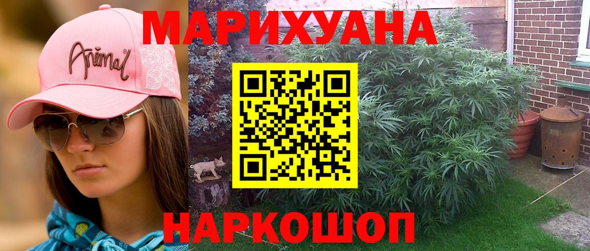 Конопля гибрид Полевской